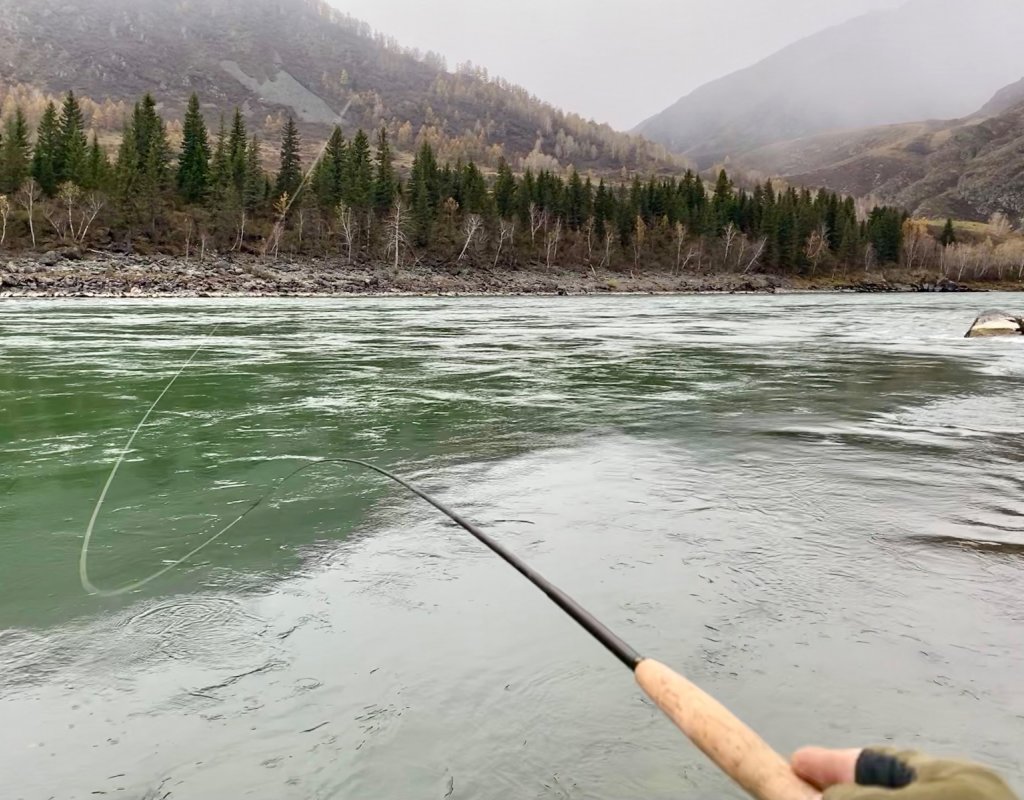 А хочется махать удой и мухой по камням порхать.