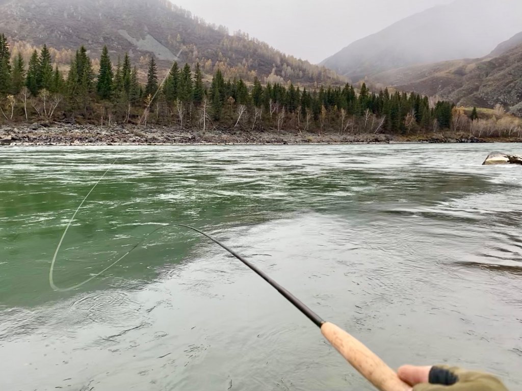А хочется махать удой и мухой по камням порхать.