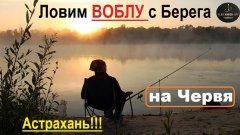 Вобла! Эпичная рыбалка на Волге в Астрахани весной. Рыбу - ловим, солим, колем, вялим и сушим!!!