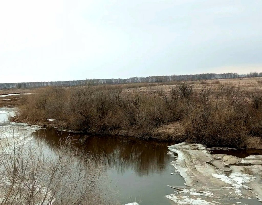 Тартас вчера!