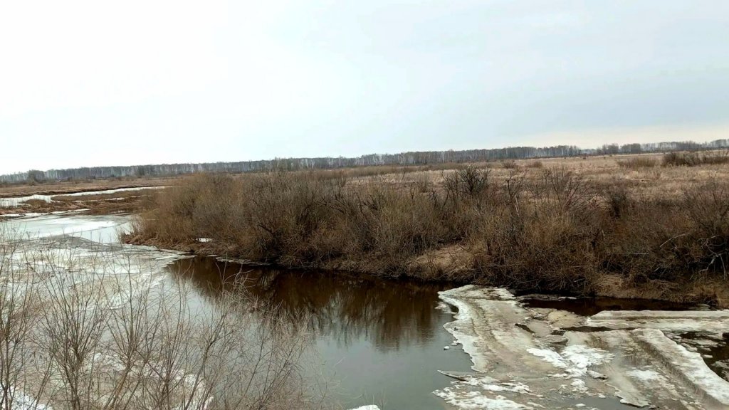 Тартас вчера!