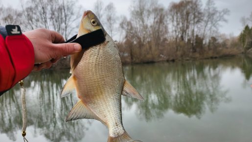 Малая Затонская протока. Открытие !!!