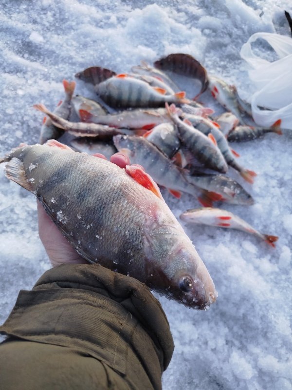 Первый вечер