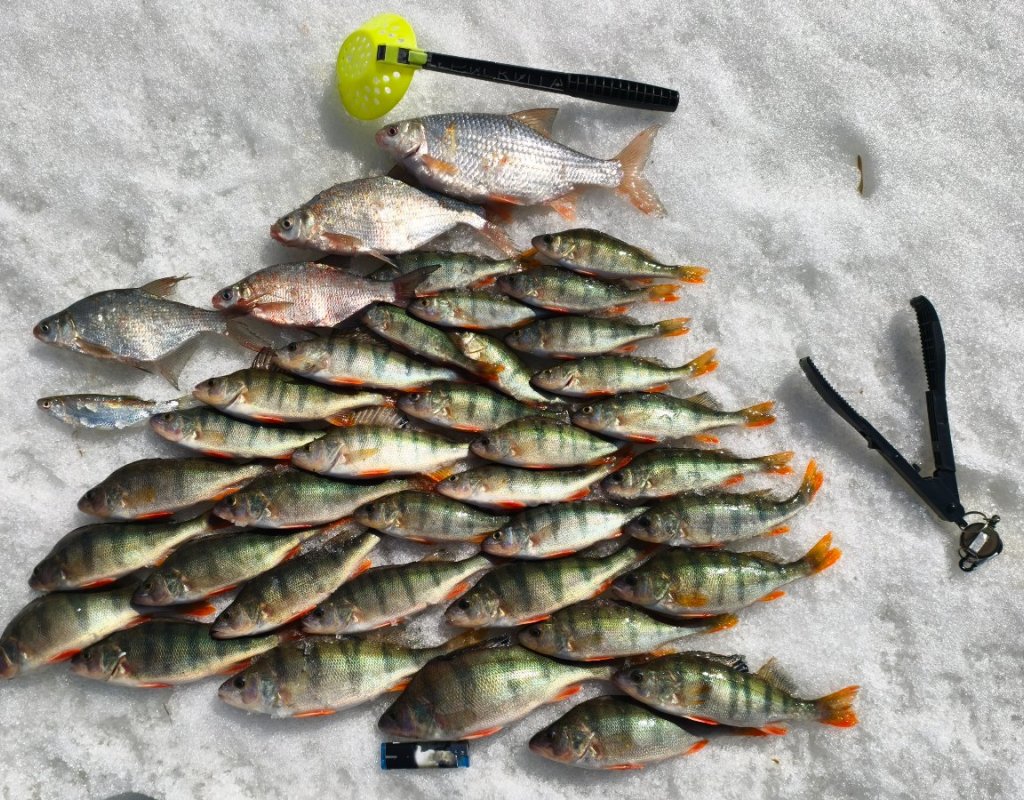 Затон, секретный выход на лед есть!