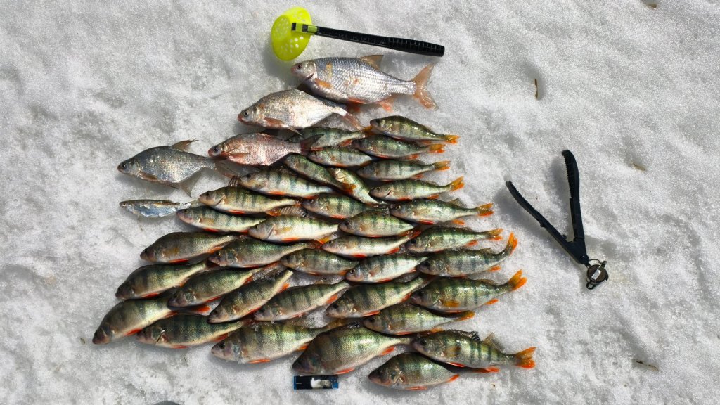 Затон, секретный выход на лед есть!