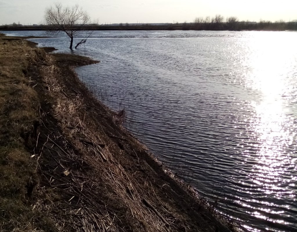 Широка река нету берега.