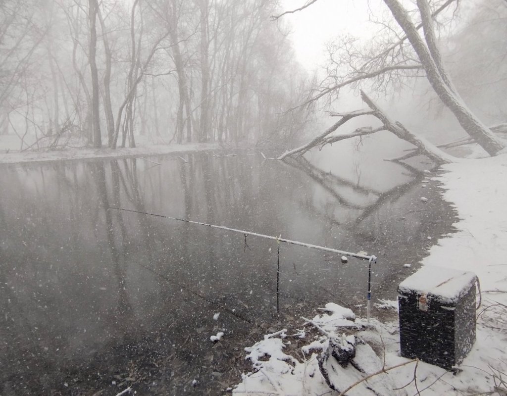 Снегопад на 2 - ой Ельцовке.