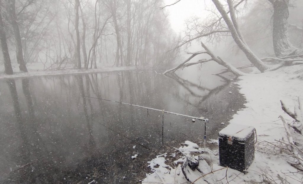 Снегопад на 2 - ой Ельцовке.