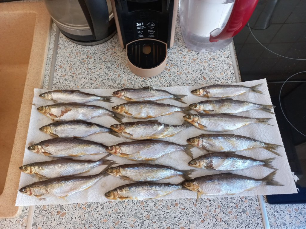 Теперь можно и на солнышко...