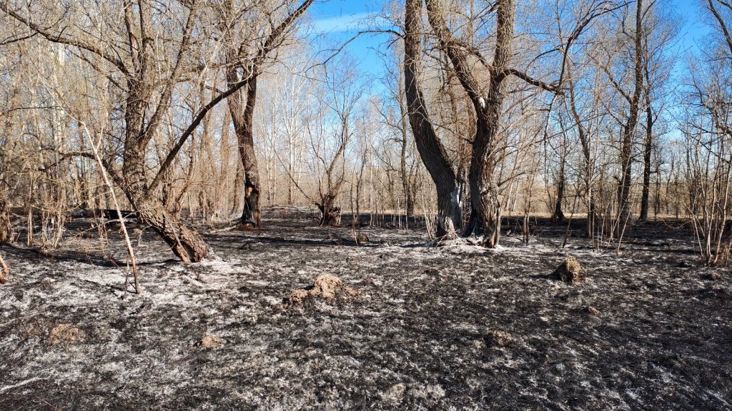 Дорога на Угрюмку