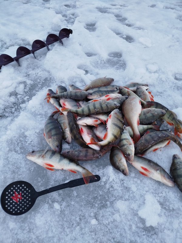 Второй вечер