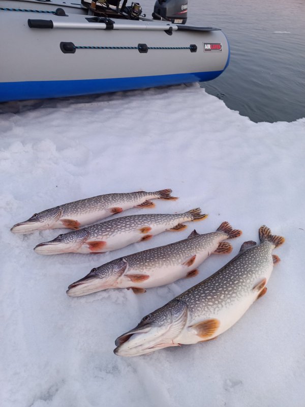 Хороший денёк