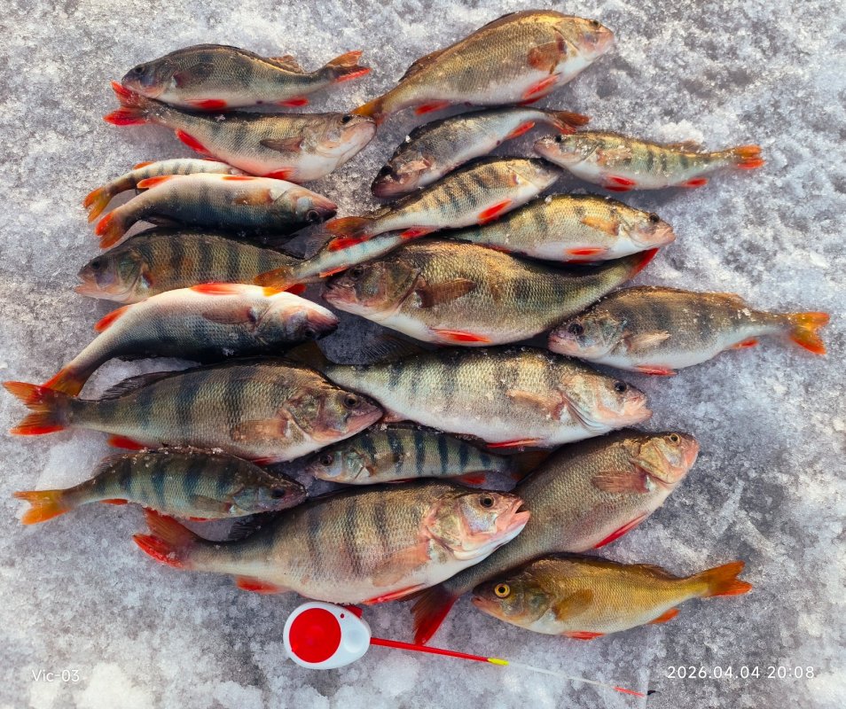 С мормышкой на ОВХ