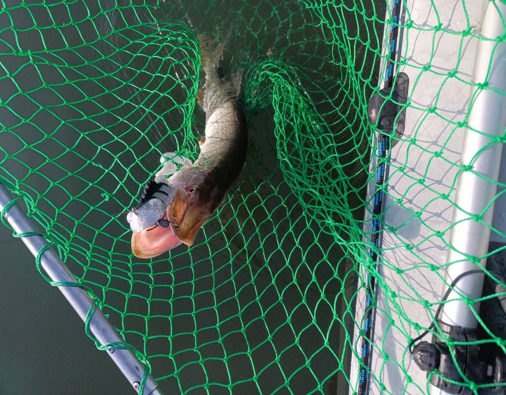 Хороший денёк 😎