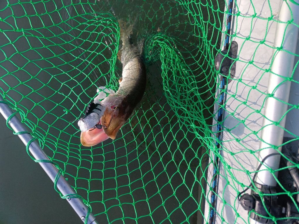 Хороший денёк