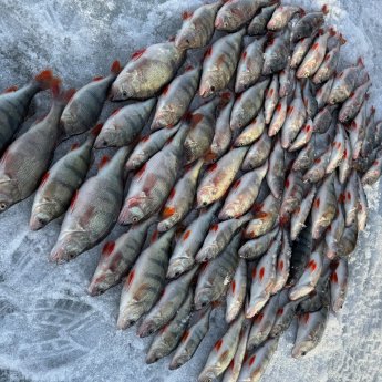 2 апреля ОВХ