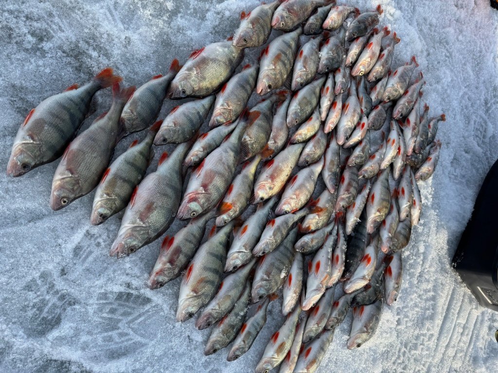 2 апреля ОВХ