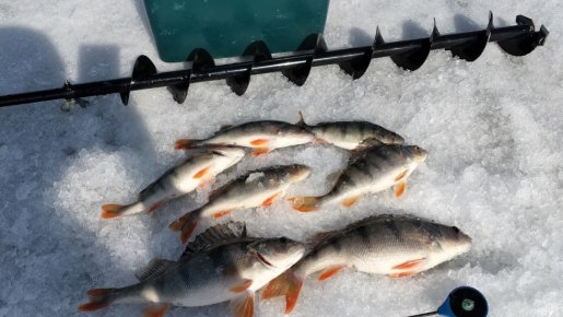 Закрытие зимней рыбалки 2026. Тань-Ваня.