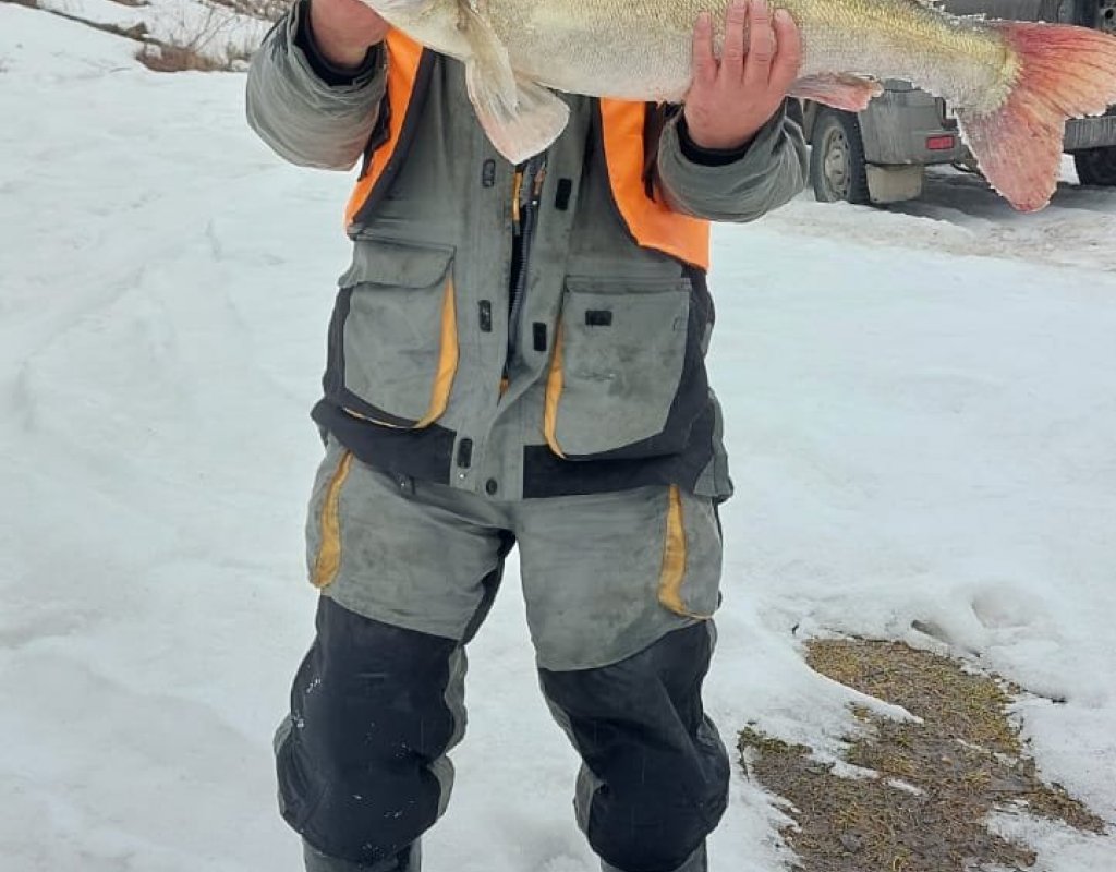 "До запрета!"..