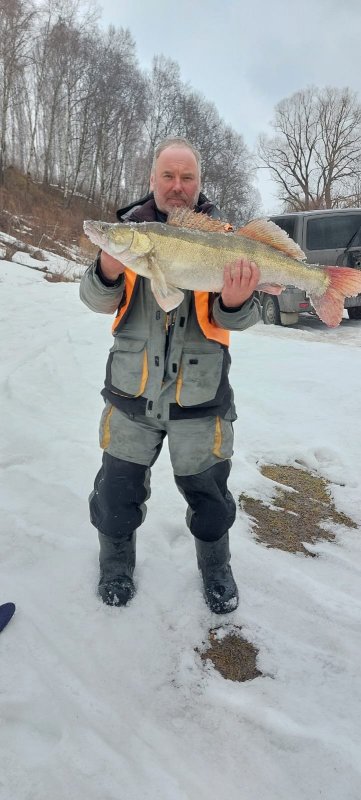 "До запрета!"..