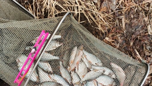 Устье Тулки. Вот и поплавок.