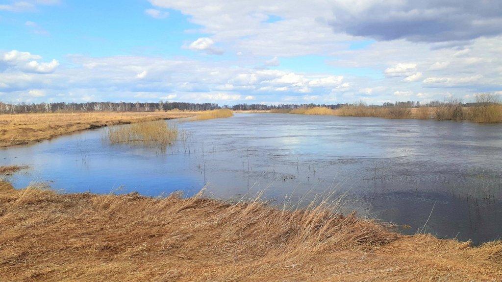 Река Тартас в разливе...