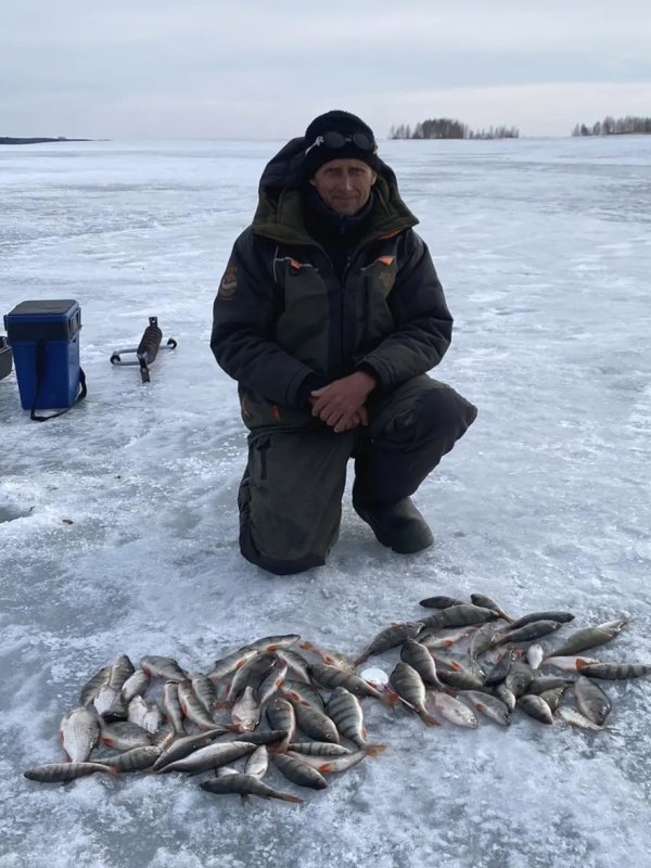 ОВХ. Под занавес сезона.