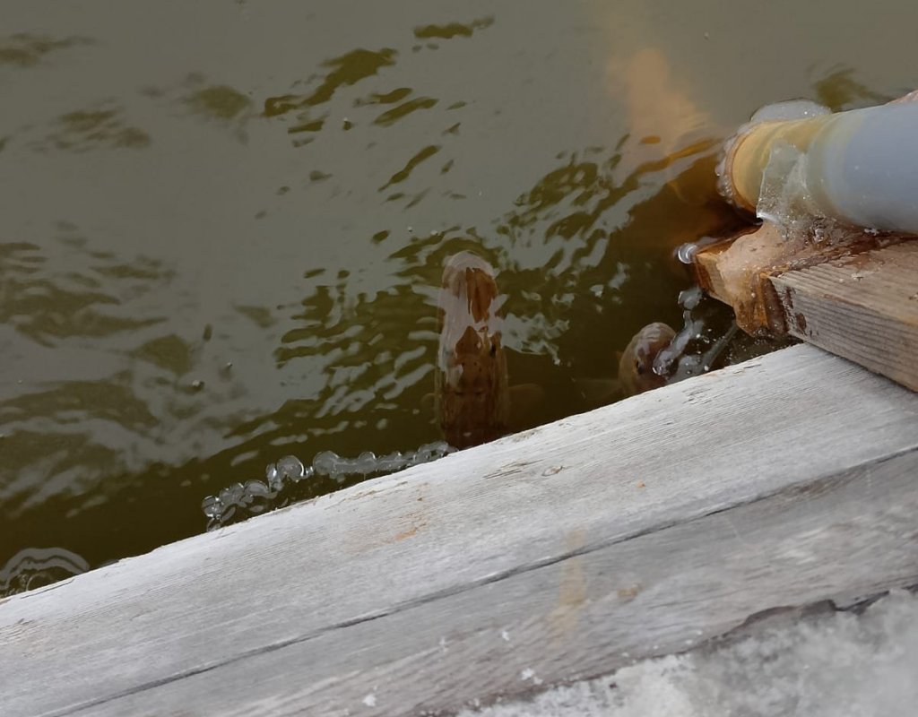 Вот и такое бывает......