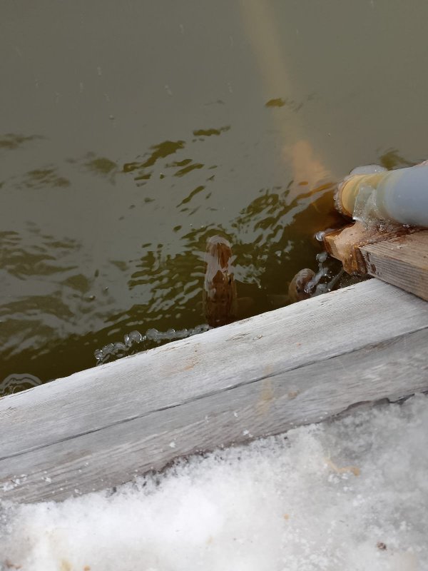 Вот и такое бывает......