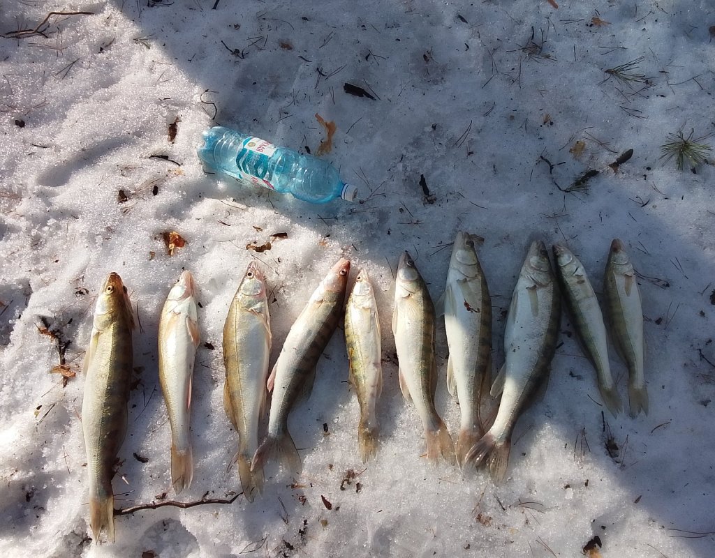 По 45 маршруту