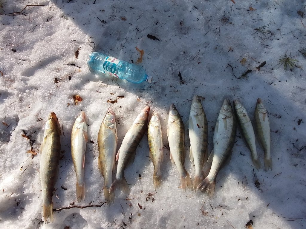 По 45 маршруту