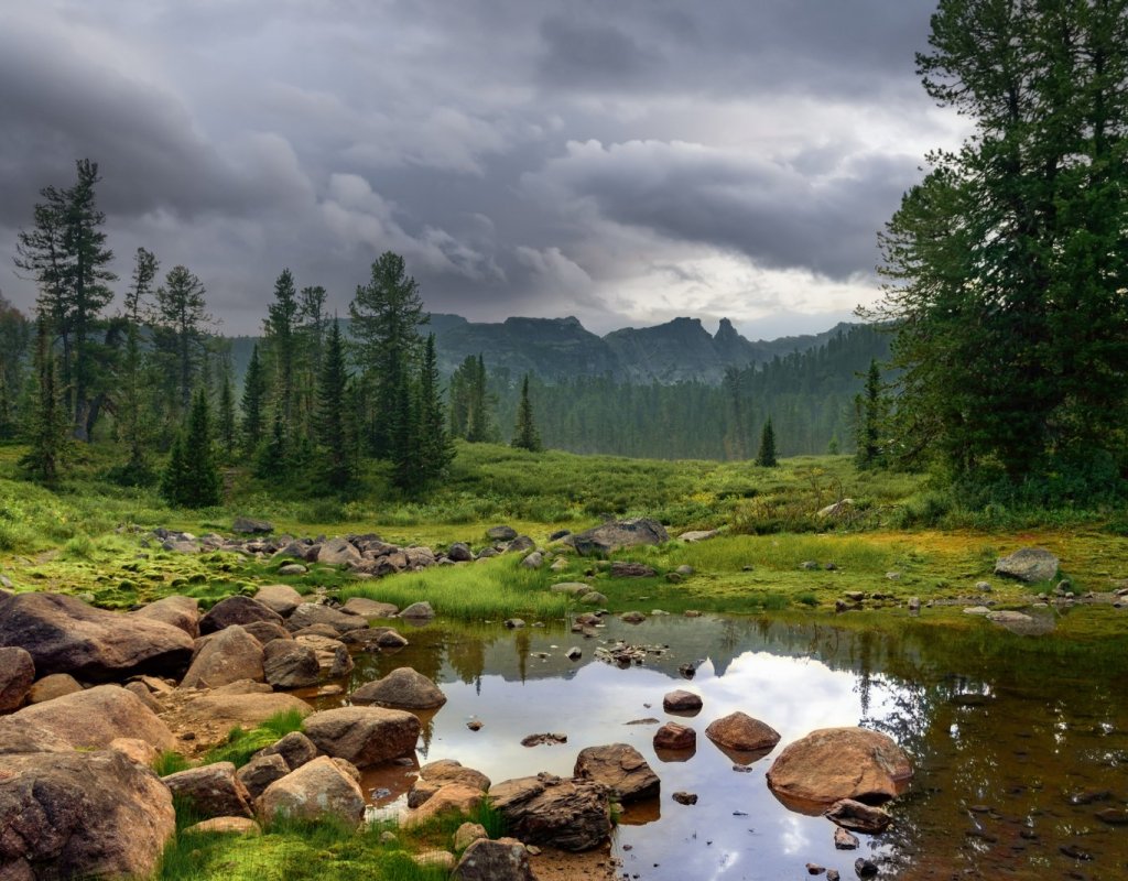 Пасмурное утро в Саянах