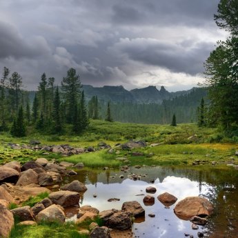 Пасмурное утро в Саянах