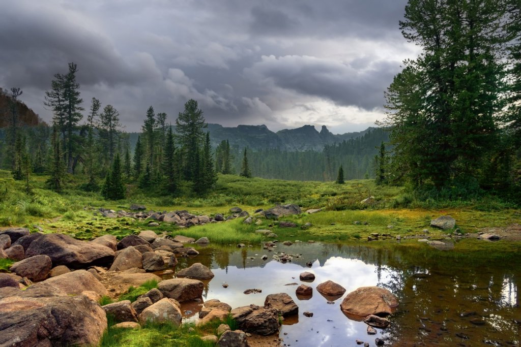 Пасмурное утро в Саянах