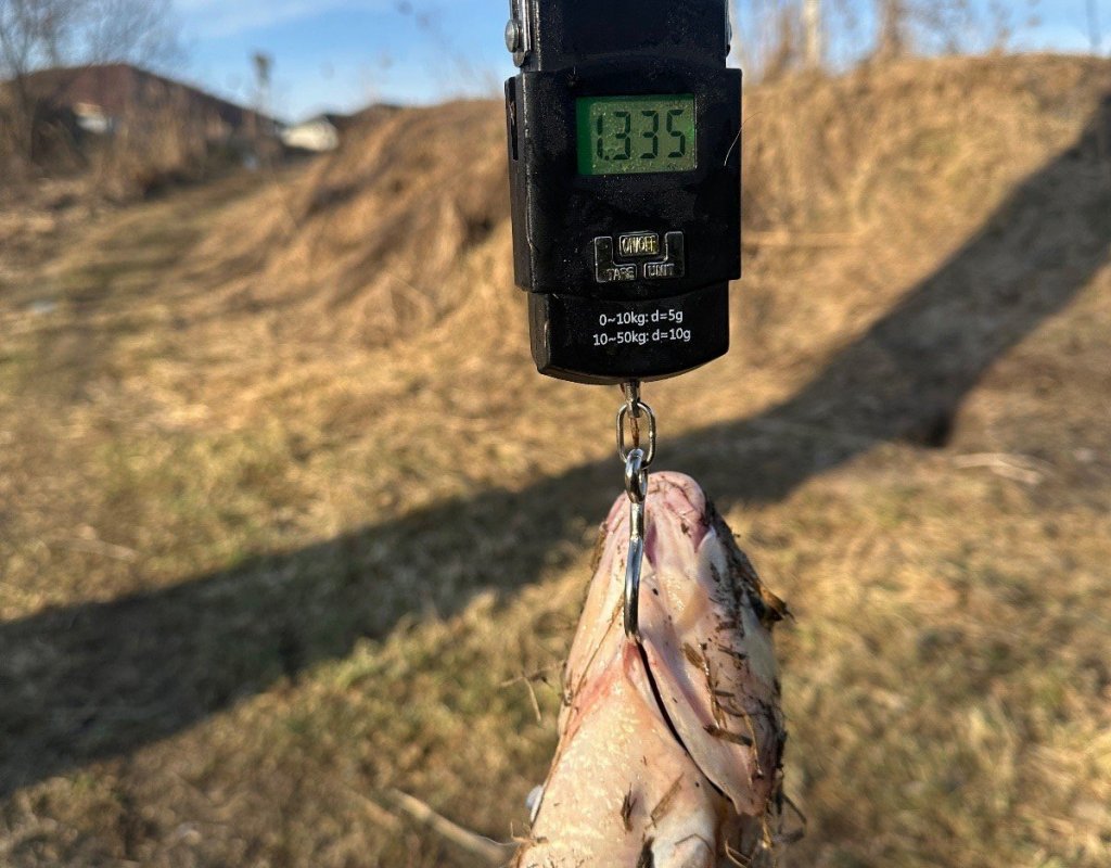 Чуток поменьше