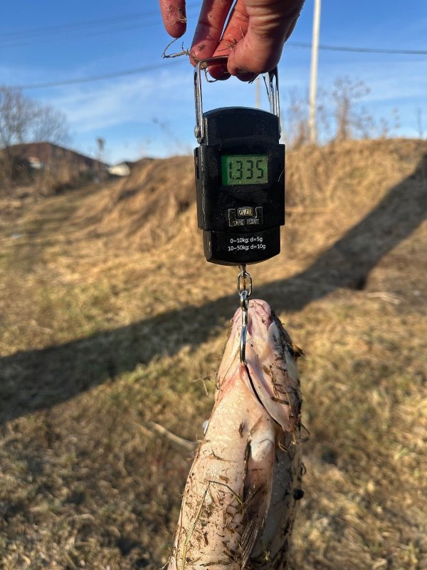 Чуток поменьше