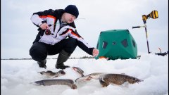 Зимняя рыбалка в ХМАО. Нашли живое озеро под Сургутом! Щука на жерлицы