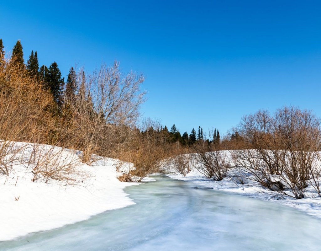 Весна, скоро ледоход
