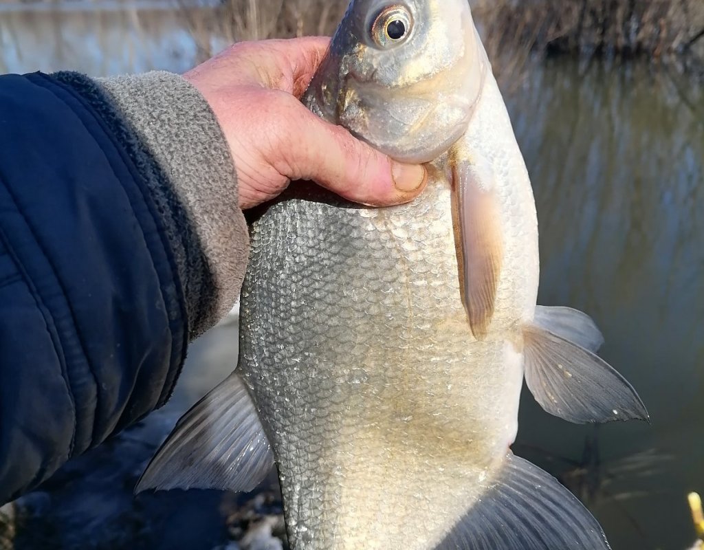 Котлован. Поплавочка. Подлещик.щик