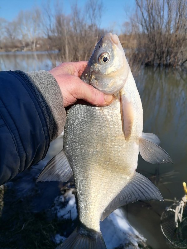 Котлован. Поплавочка. Подлещик.