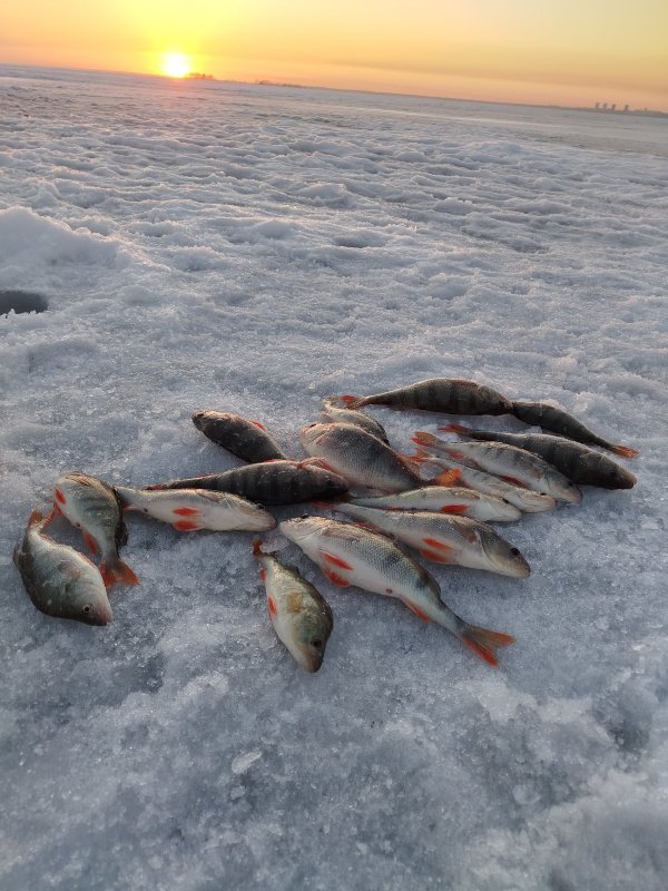 Третий вечер