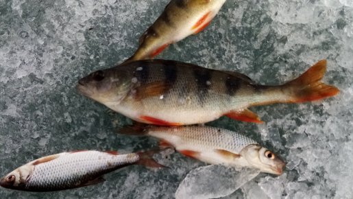 Весенний лед.