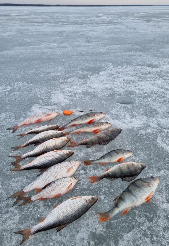 Твёрдая вода - всё
