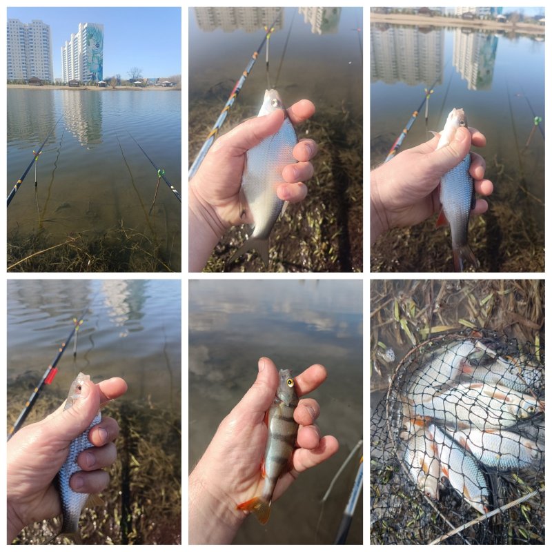 Домашний водоём просыпается