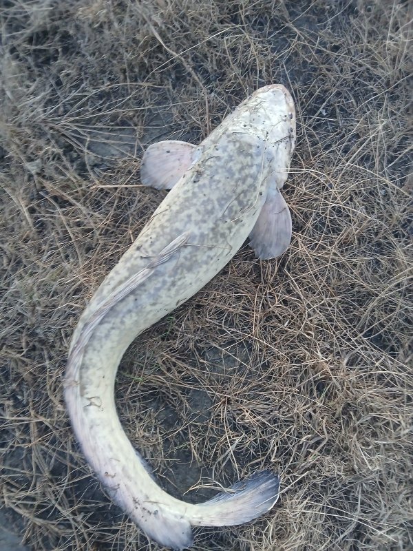 Камень, открытие.