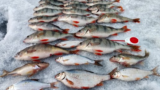 ОВХ. "Синдром Тань-Ваня".