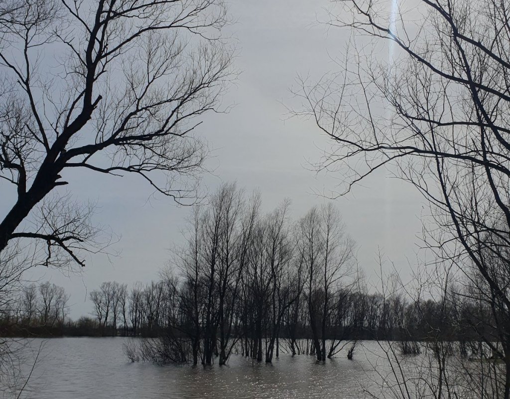 Стрелка Чауса и Уени сегодня