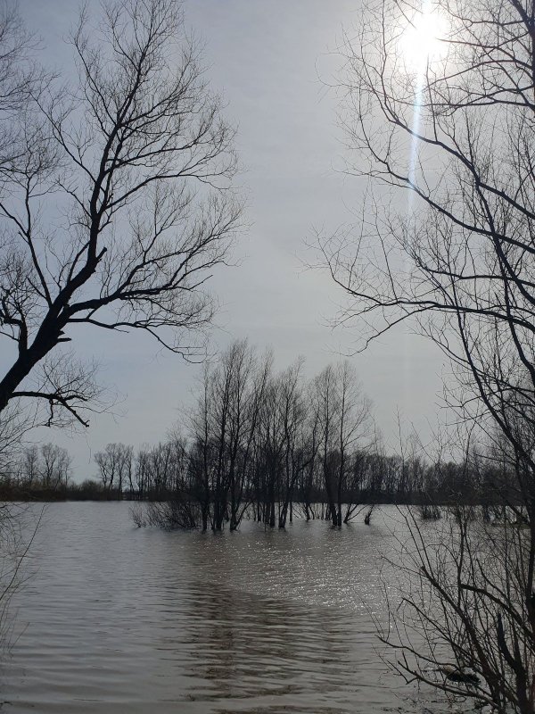 Стрелка Чауса и Уени сегодня