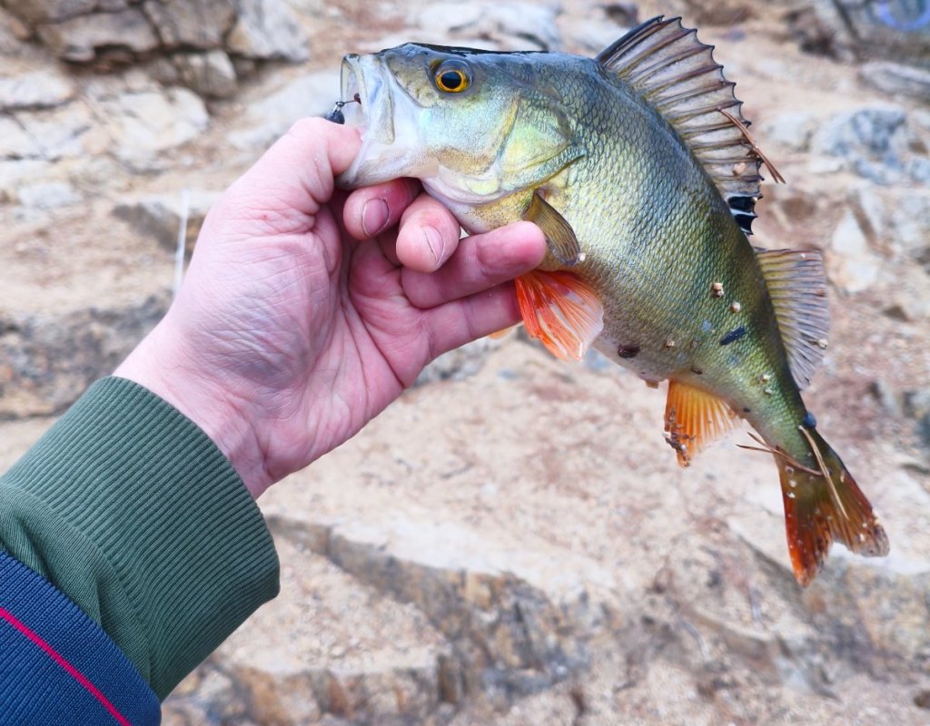 Первый в этом весеннем сезоне