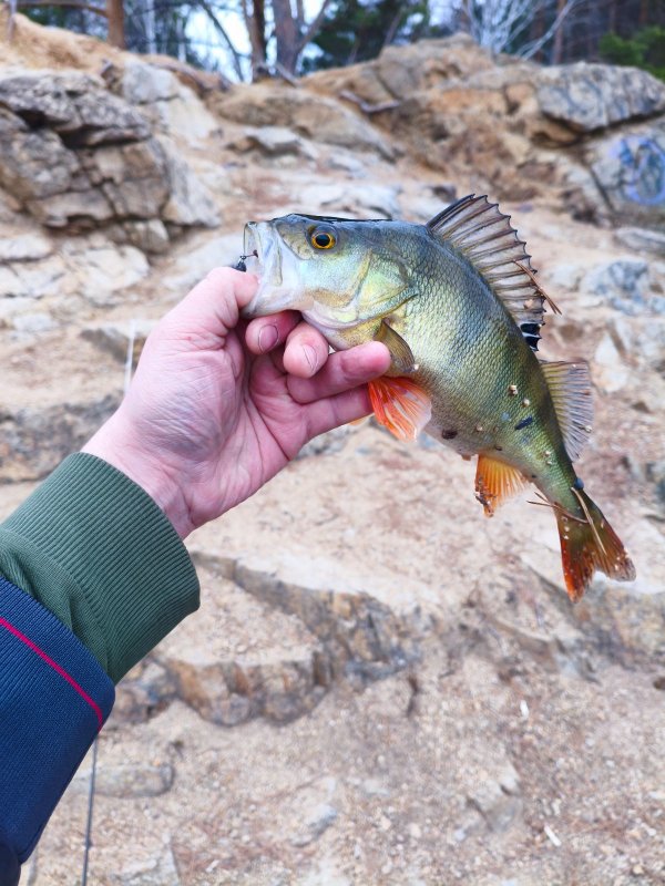 Первый в этом весеннем сезоне